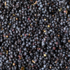 "Not too sweet" Organic Wild Blueberry Topping - Image 4
