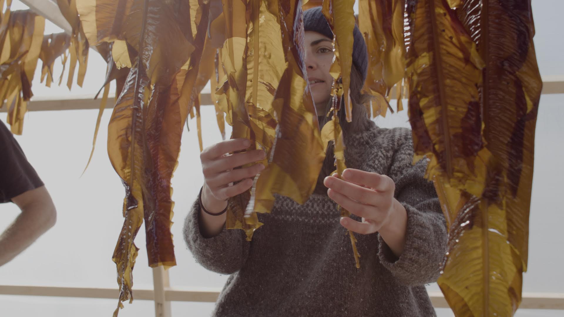 portrait of Kacie Loparto, Smithereen Farm Seaweed Captain.