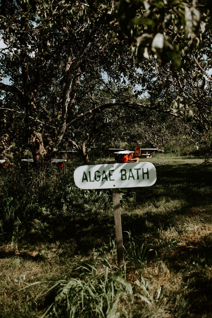 A handpainted wooden sign that says ALGAE BATH, located in the orchard at Smithereen Farm, in Pembroke, Maine