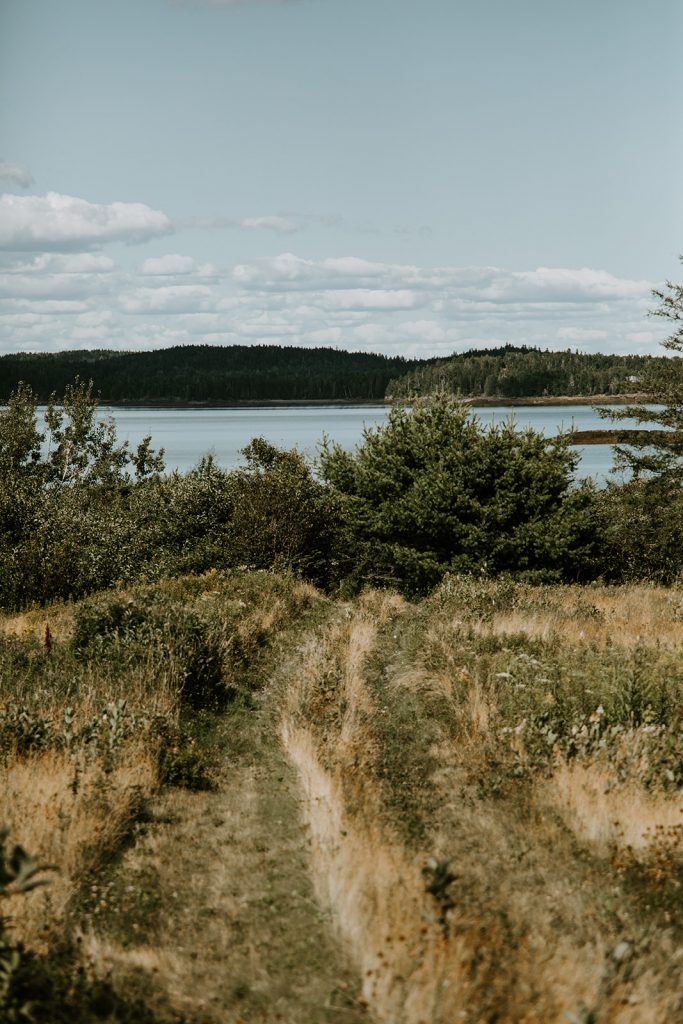 A view out to Cobscook Bay in Downeast Maine, from the orchard at Smithereen Farm